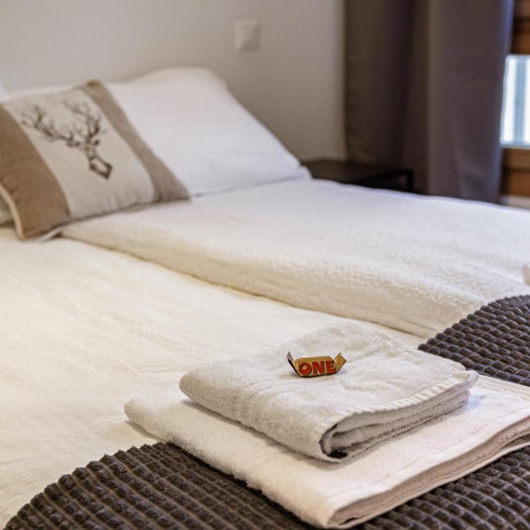 Bergstudio II I Flims Laax I Ski I Berg I Gratis Parkplatz - Studio-Apartment mit 1 Doppelbett - 8