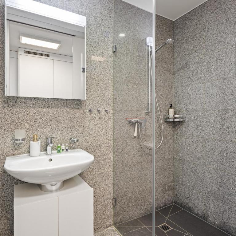 Bergstudio II I Flims Laax I Ski I Berg I Gratis Parkplatz - Studio-Apartment mit 1 Doppelbett - 37