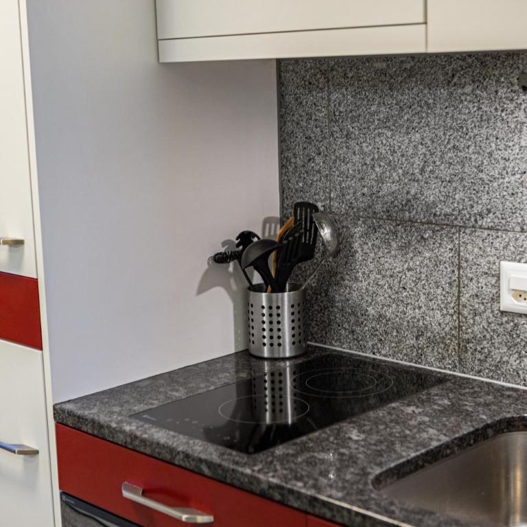 Bergstudio II I Flims Laax I Ski I Berg I Gratis Parkplatz - Studio-Apartment mit 1 Doppelbett - 30