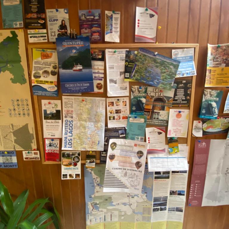 Habitación Doble con Baño Compartido en Barrio Acogedor y Relajado - Habitación Doble Estándar con baño compartido - 6