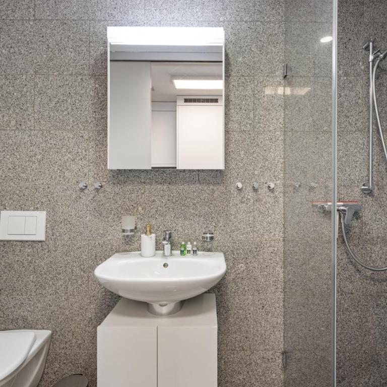 Bergstudio II I Flims Laax I Ski I Berg I Gratis Parkplatz - Studio-Apartment mit 1 Doppelbett - 38