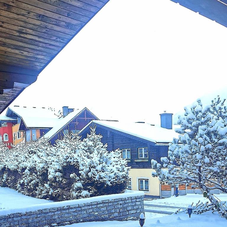 Haus Bellaflora Apartman - Apartment mit 4 Schlafzimmern - 55