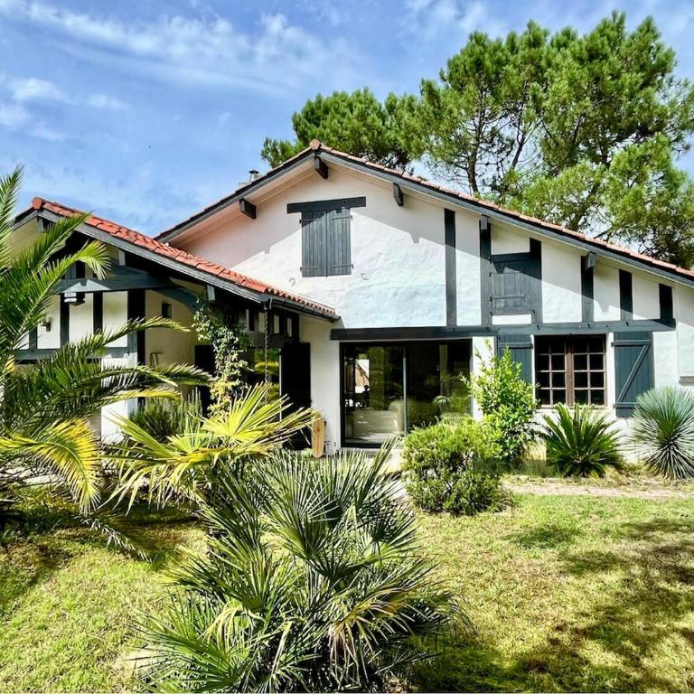 Villa Debussy - Villa - 26