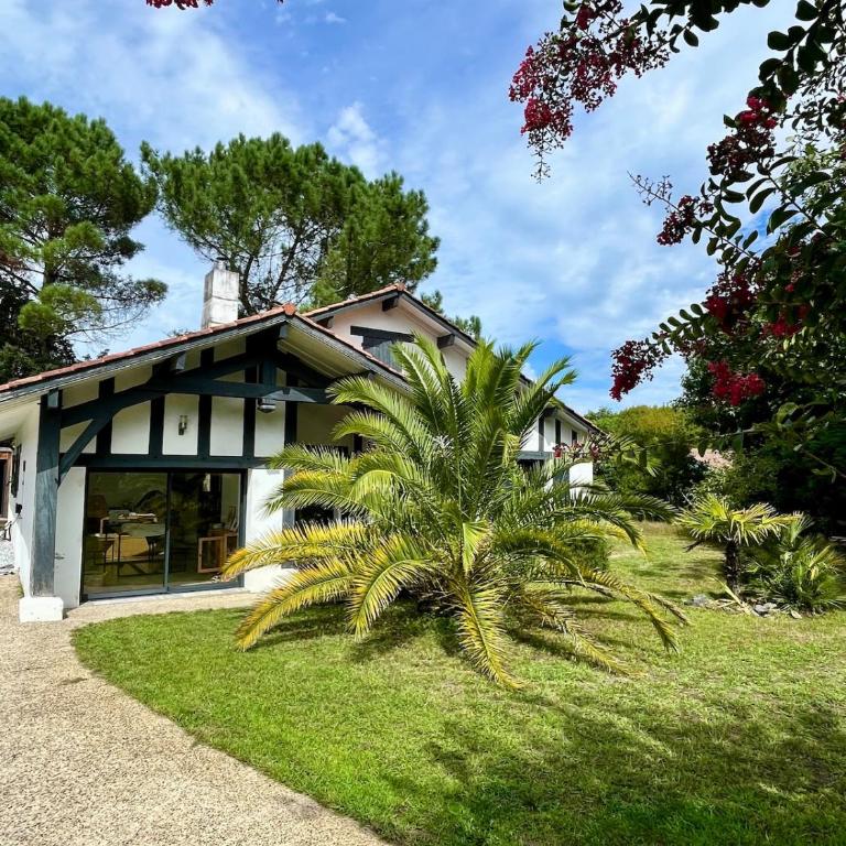 Villa Debussy - Villa - 32