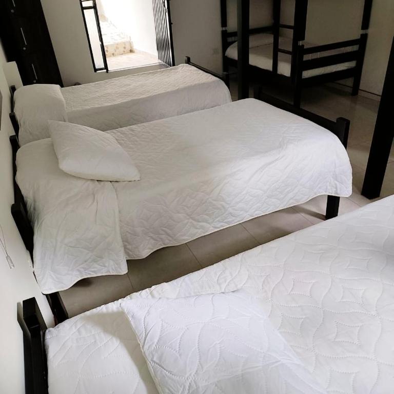 Bosques de la Pradera - Habitación Compartida Mixta de 6 camas - 4