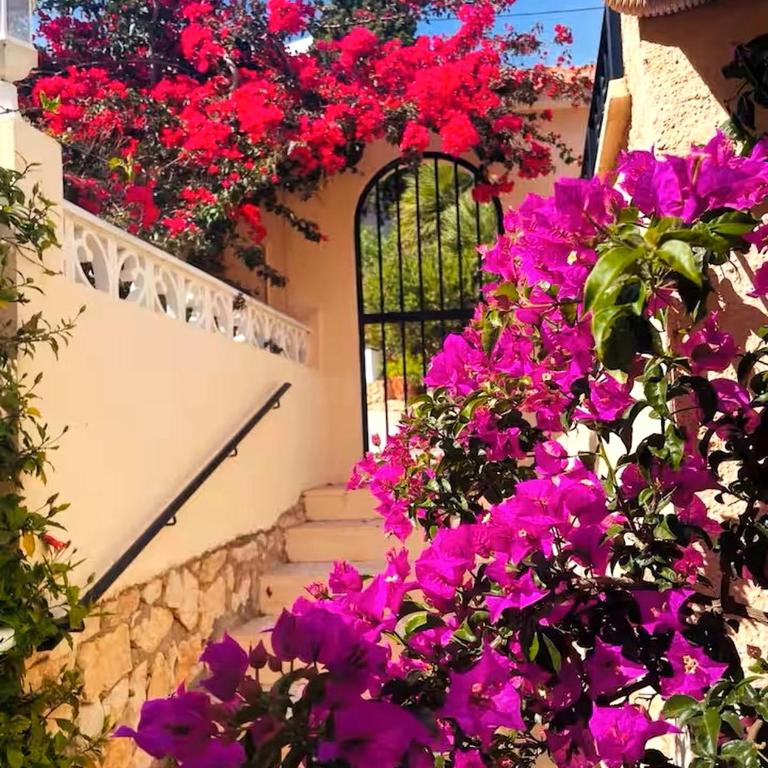 CasaLipe - Villa - 12