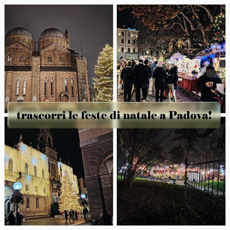 10 min di tram da Padova centro, mini ristrutturato - Choco - Appartamento con 1 Camera da Letto - 36