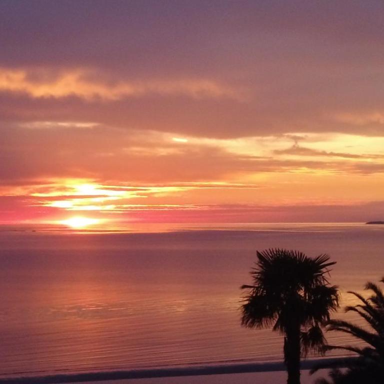 Atardeceres de Colonia 508 - Apartamento de 1 dormitorio - 1