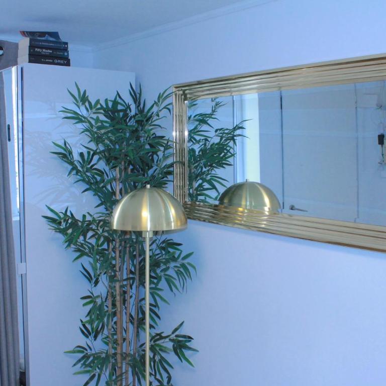 apt Albert 1 - Appartement - 9