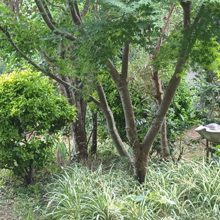 Jardin Secreto - Three-Bedroom House - 16