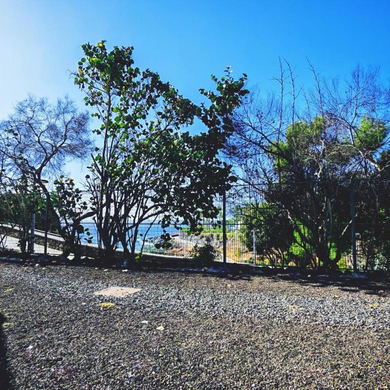 Paraiso del Sur Sea View Apartment - Apartamento con vistas al mar - 4