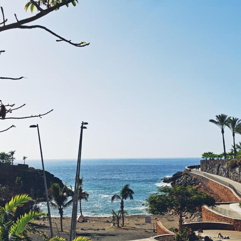 Paraiso del Sur Sea View Apartment - Apartamento con vistas al mar - 12