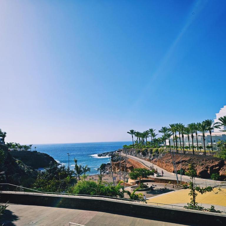 Paraiso del Sur Sea View Apartment - Apartamento con vistas al mar - 14