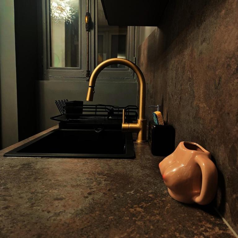 Secrets d'Aix Suite Jacuzzi & Vue Casino - Appartamento con 1 Camera da Letto - 25