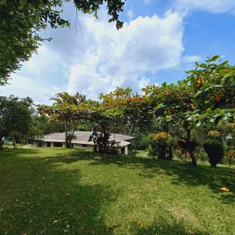 Villa Alejandra - Villa - 13