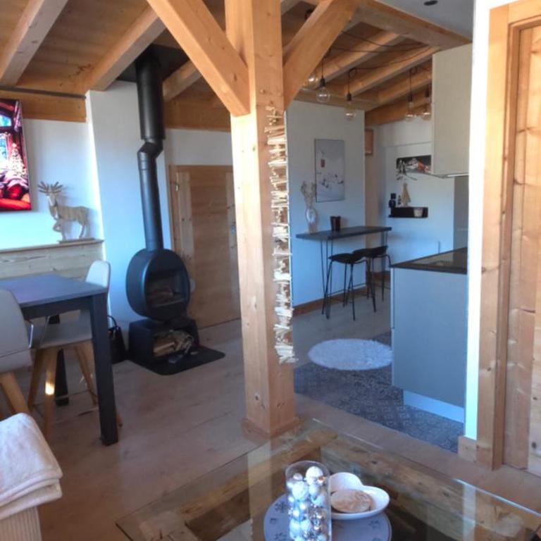 Portes du Soleil T3 "comme un chalet" direct access Morzine Avoriaz - Appartement 2 Chambres - 6