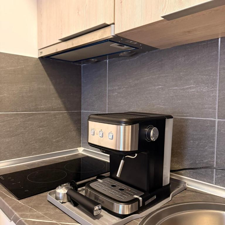 Woodland B65 Residence Hill Kopaonik - Apartman sa 1 Spavaćom Sobom - 12
