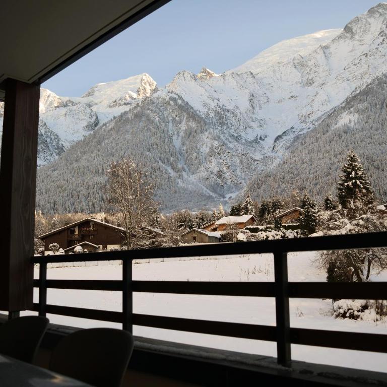 Cosmiques A203 - New & Mont Blanc view - Appartement - 30