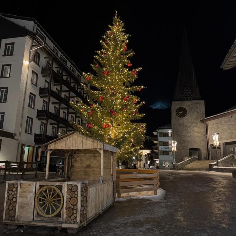 Mountain Bliss Duplex - Saas Fee - Apartment - 9