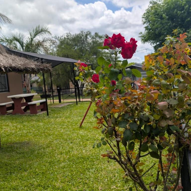 Brisas del artalaz - One-Bedroom House - 14