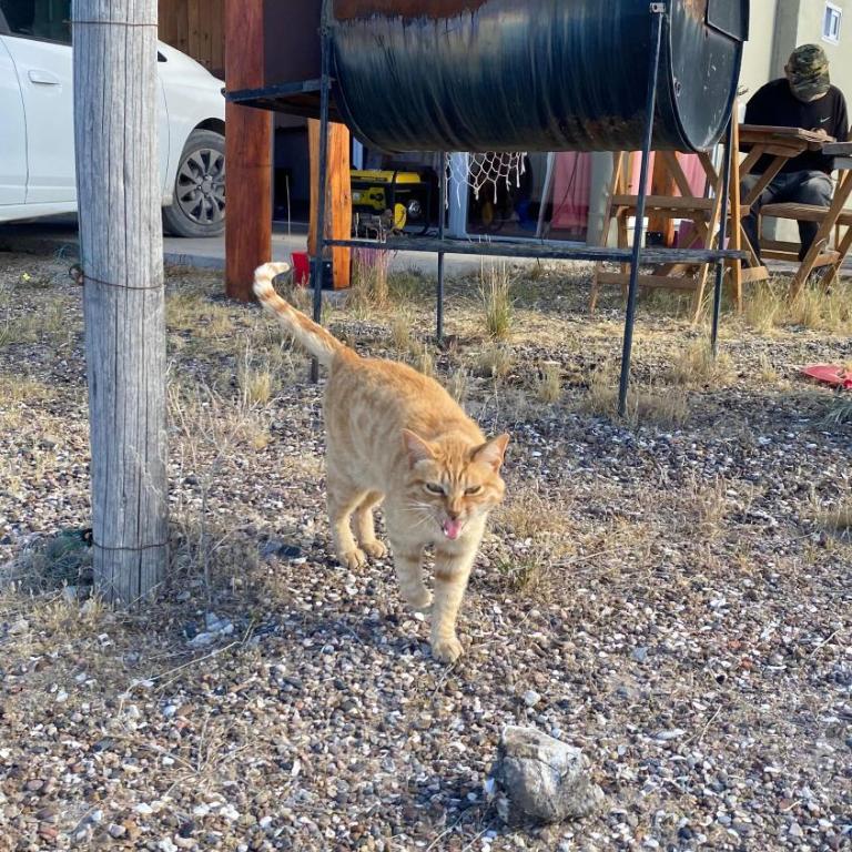 La casita de Uri - Casa de 2 dormitorios - 18