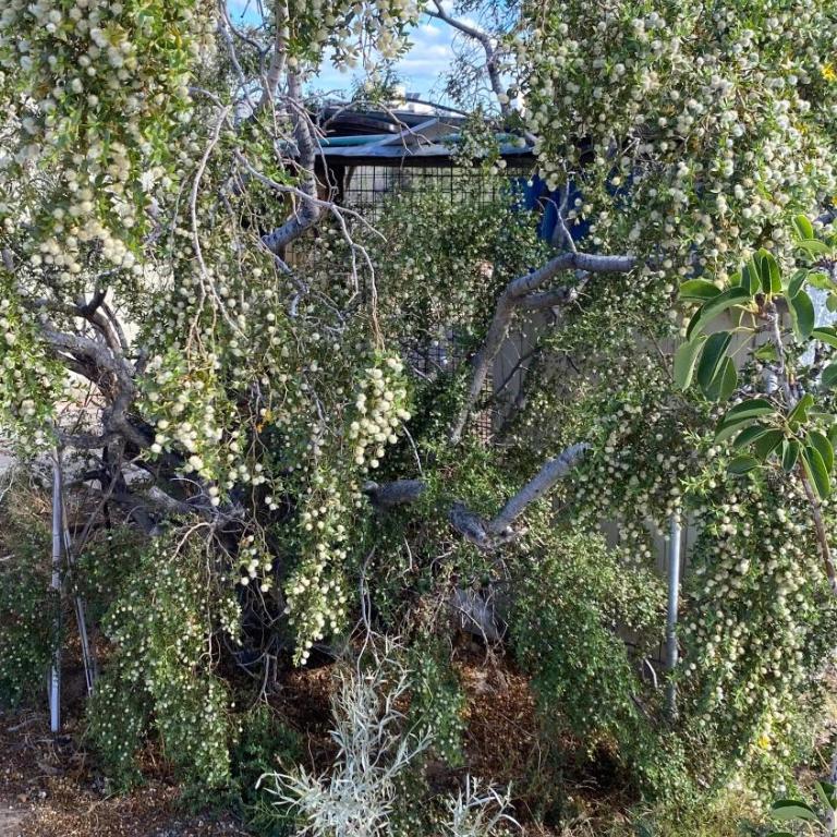 La casita de Uri - Casa de 2 dormitorios - 24