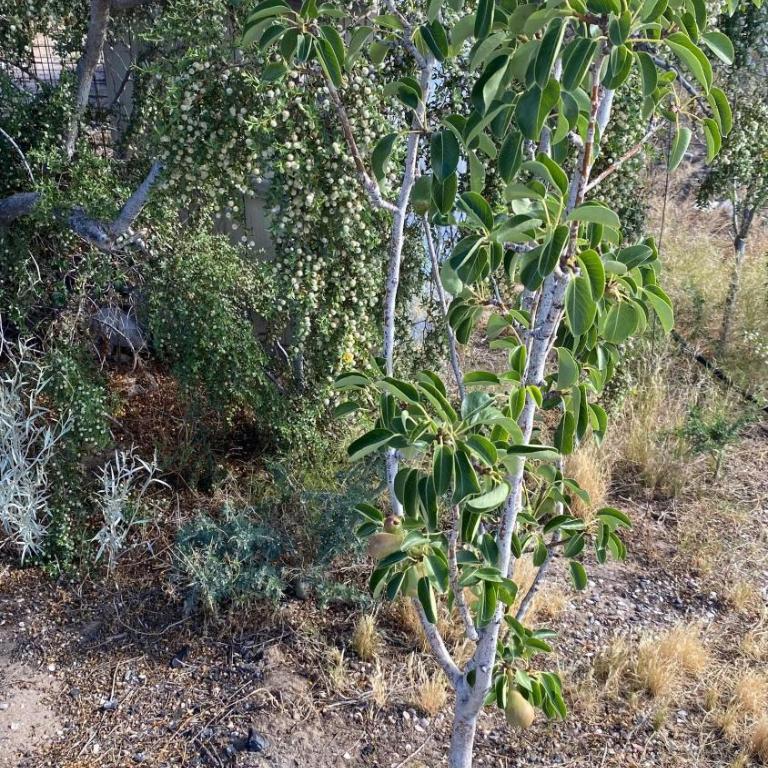 La casita de Uri - Casa de 2 dormitorios - 29