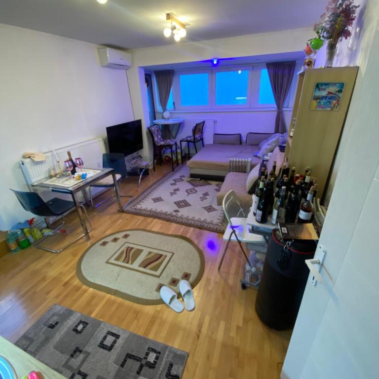 Penthouse - One-Bedroom Apartment - 11