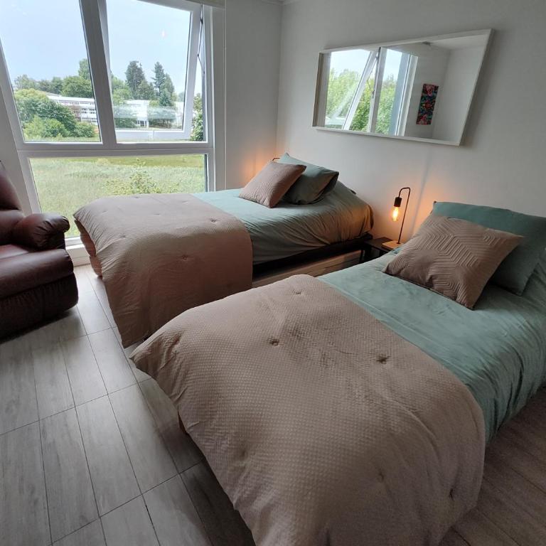 Departamento Isla Teja Wifi 352 Mb Vista Humedal - One-Bedroom Apartment - 13