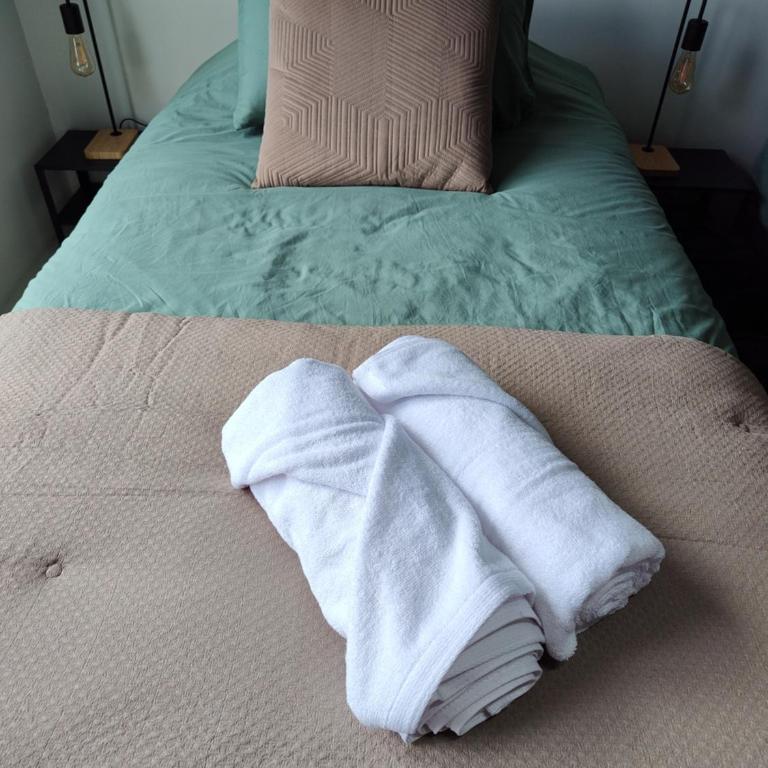 Departamento Isla Teja Wifi 352 Mb Vista Humedal - One-Bedroom Apartment - 23