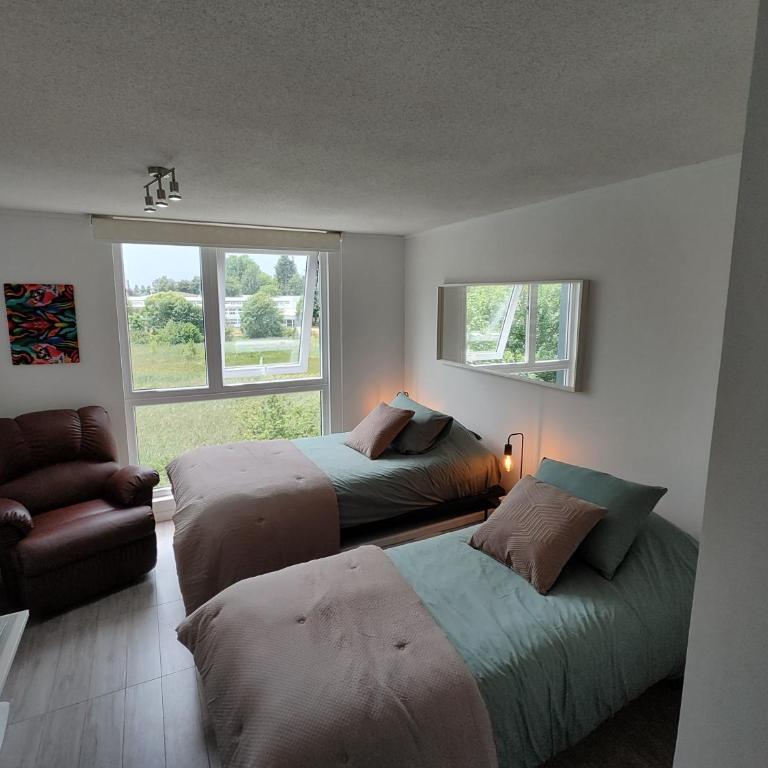 Departamento Isla Teja Wifi 352 Mb Vista Humedal - One-Bedroom Apartment - 28