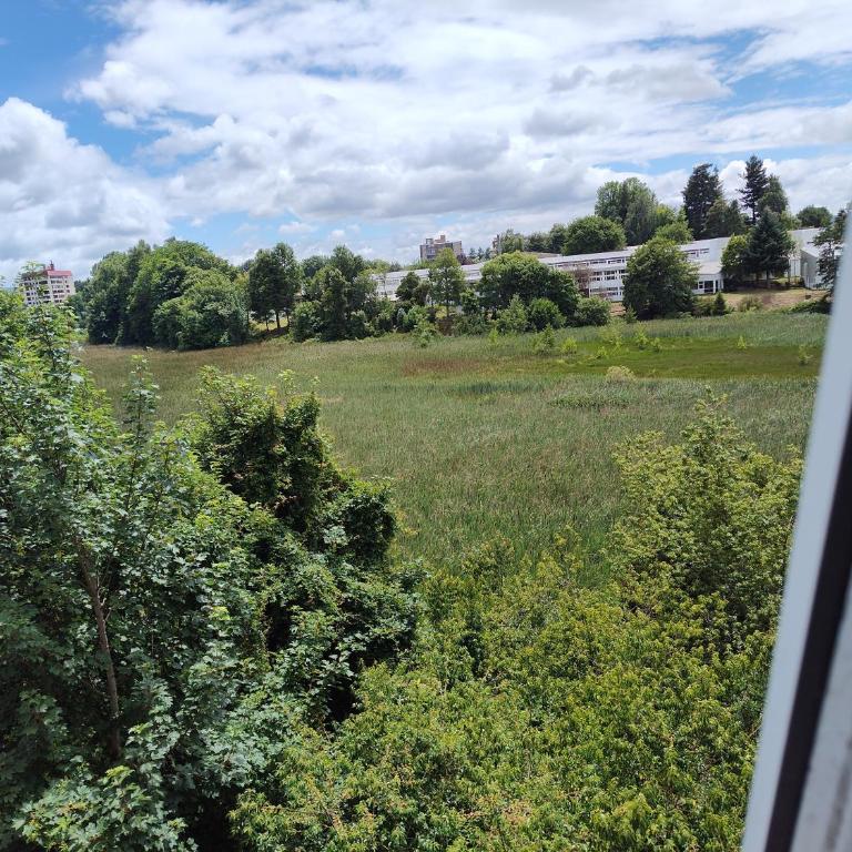 Departamento Isla Teja Wifi 352 Mb Vista Humedal - One-Bedroom Apartment - 29