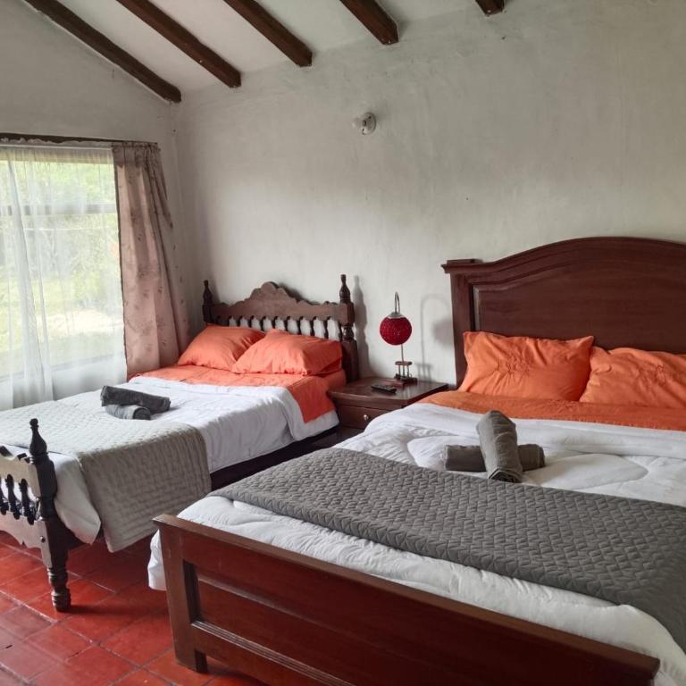 Hospedaje Rural Pistacia Vera - Villa de Leyva - Double Room with Two Double Beds - 2