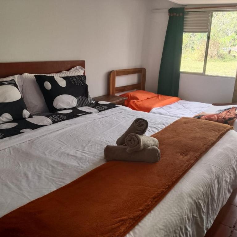 Hospedaje Rural Pistacia Vera - Villa de Leyva - Triple Room with Private Bathroom - 2