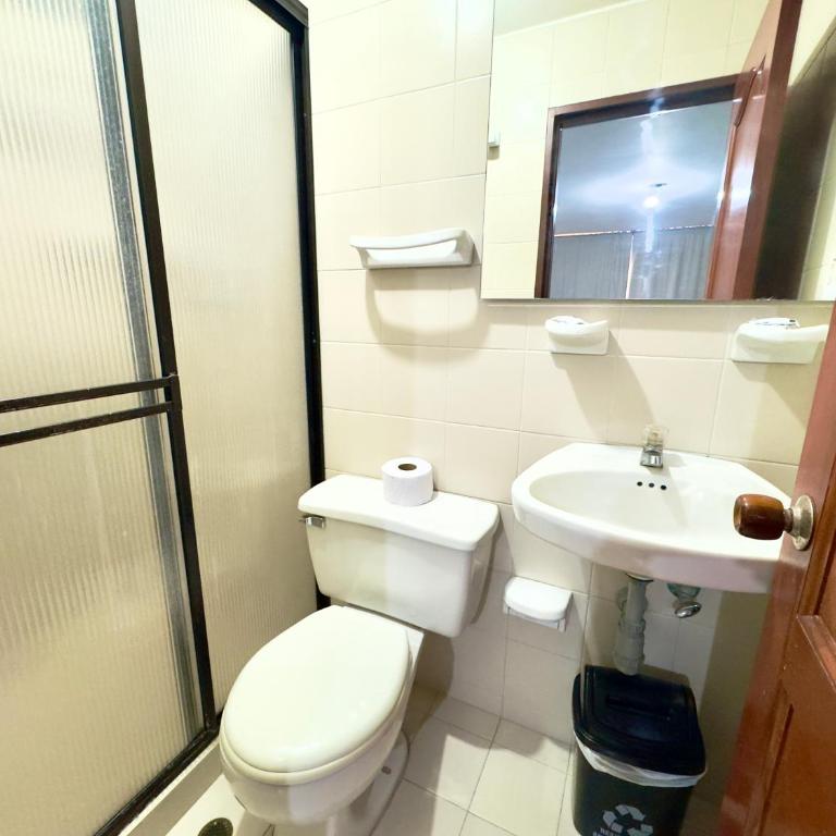 Hotel Pereira Central - Habitación Doble Deluxe - 6