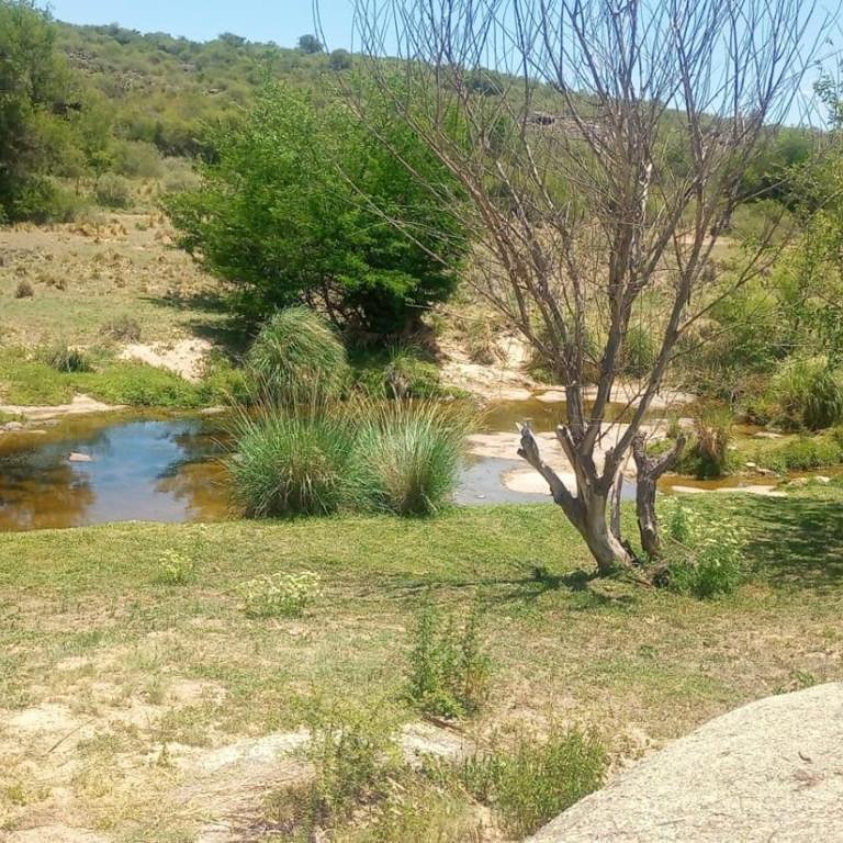 Costa río - Casa de 2 dormitorios - 5