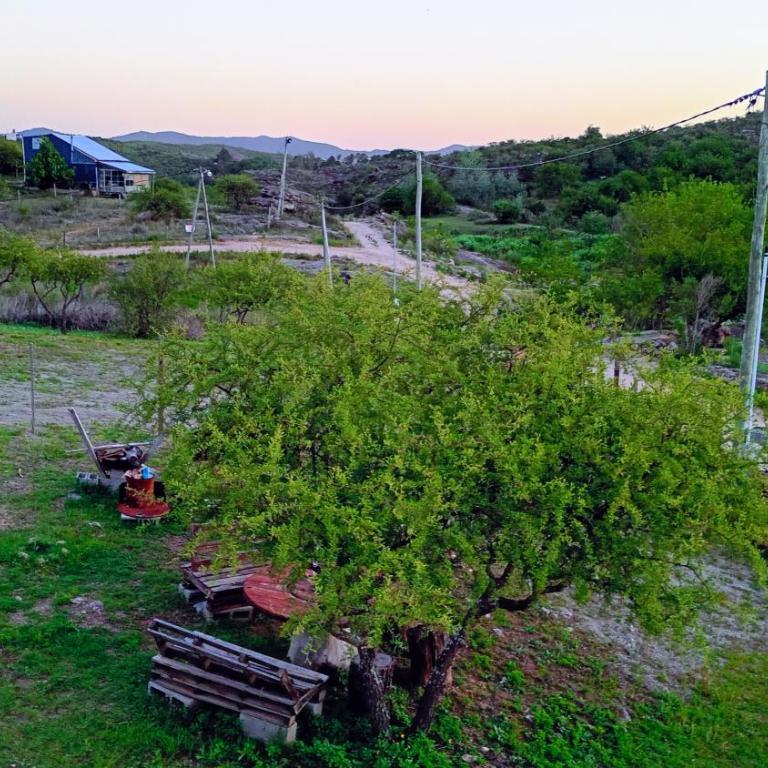 Costa río - Casa de 2 dormitorios - 7