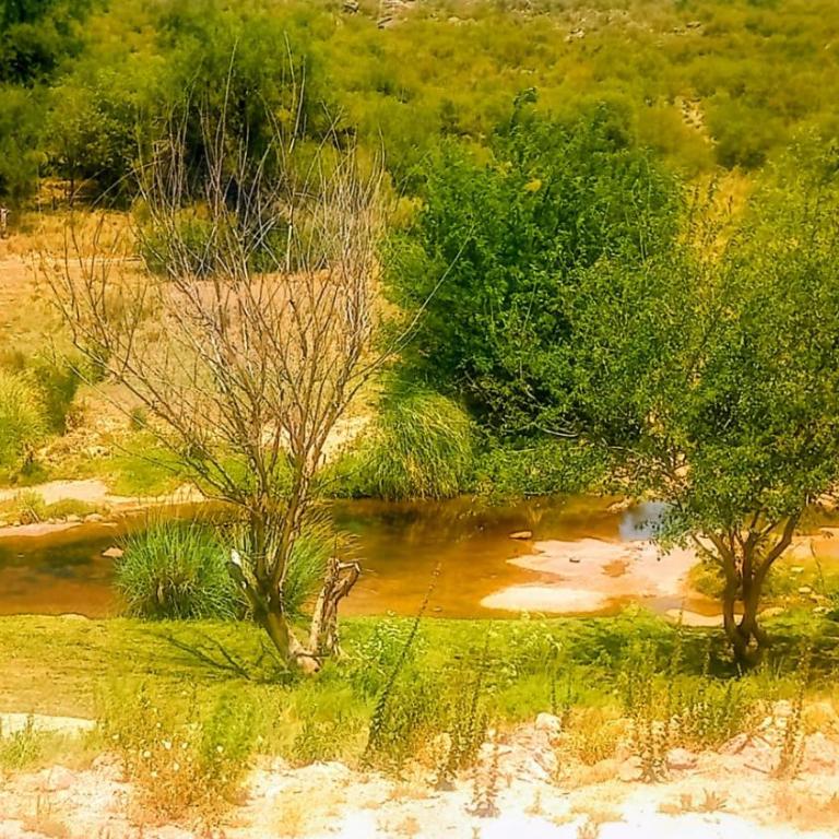 Costa río - Casa de 2 dormitorios - 31