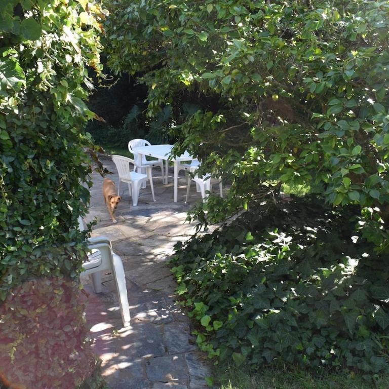 Family home in Las Delicias, garden and barbecue - Four-Bedroom House - 31