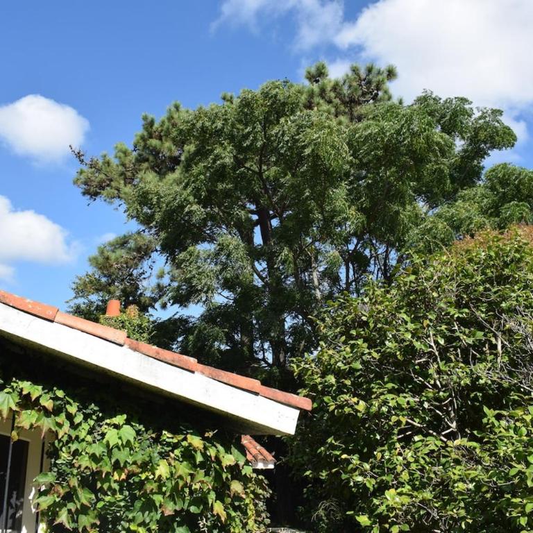 Family home in Las Delicias, garden and barbecue - Four-Bedroom House - 43