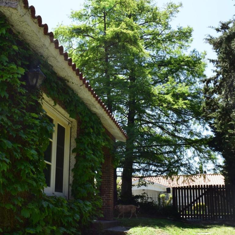 Family home in Las Delicias, garden and barbecue - Four-Bedroom House - 52