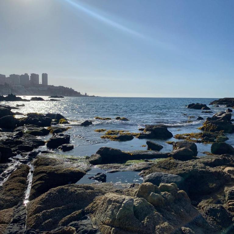 Nuevo, excelente ubicación - Apartamento de 2 dormitorios - 30