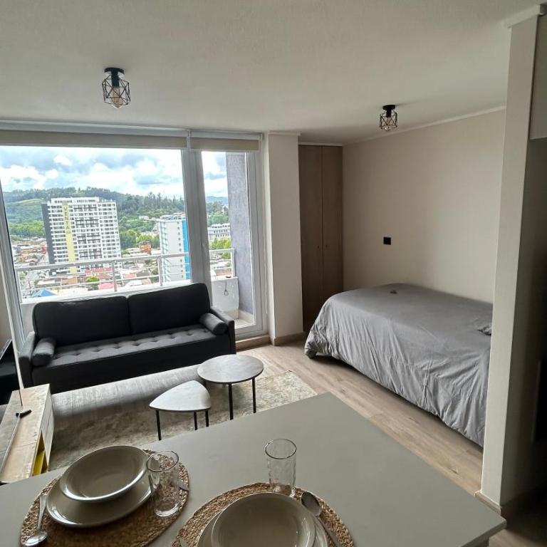 Departamento centro de Concepción - One-Bedroom Apartment - 3