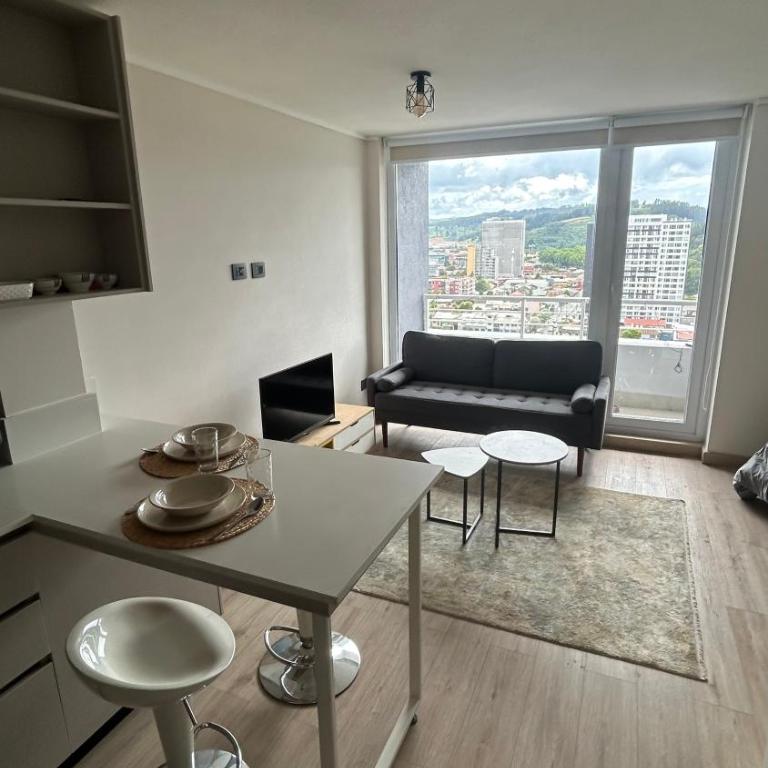 Departamento centro de Concepción - One-Bedroom Apartment - 8