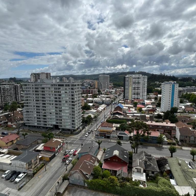 Departamento centro de Concepción - One-Bedroom Apartment - 9