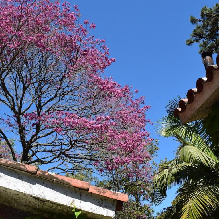 Patrimonio Familiar con Jardín de Ensueño - Casa de 4 dormitorios - 3