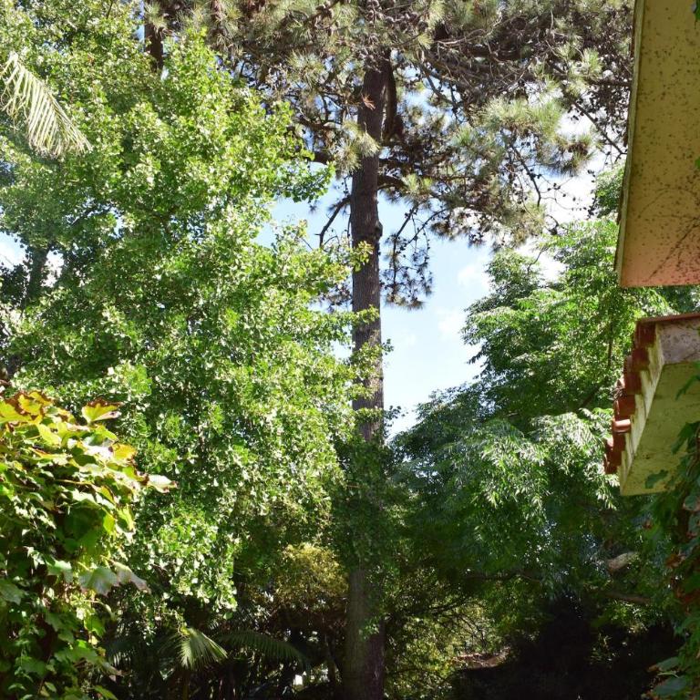 Patrimonio Familiar con Jardín de Ensueño - Casa de 4 dormitorios - 16