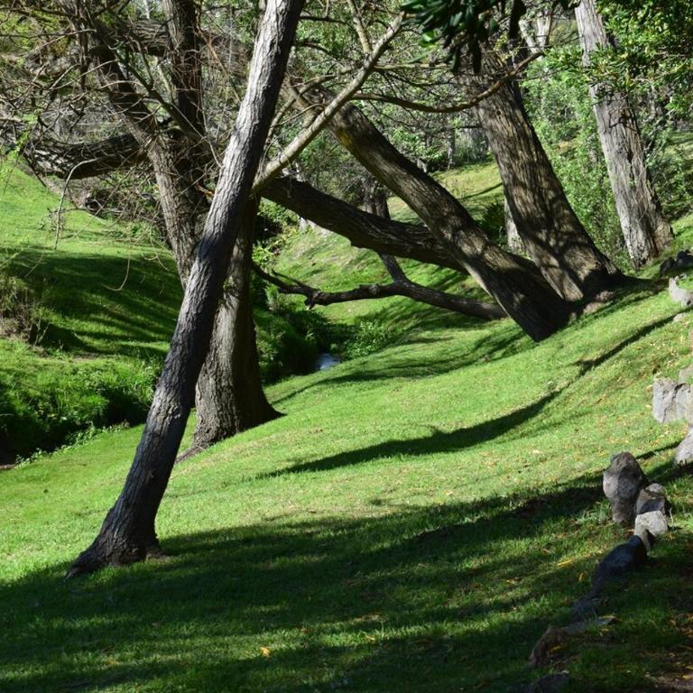 Patrimonio Familiar con Jardín de Ensueño - Casa de 4 dormitorios - 22