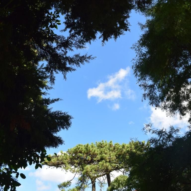 Patrimonio Familiar con Jardín de Ensueño - Casa de 4 dormitorios - 52