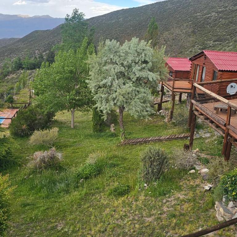 Cabañas BALCONES DEL PORTEZUELO - Mendoza - Bungalow de 2 dormitorios - 10